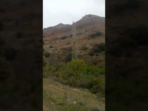 يما نشكيلك همي وضري وخايف منبراش 