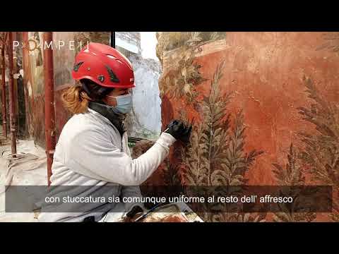 Affresco del giardino della Casa dei Ceii - Restauro