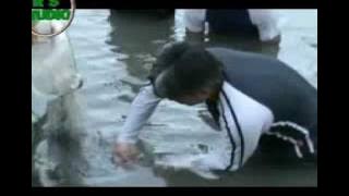 02. RS SI JANTUNG HATI. ARI WIBOWO.mp4