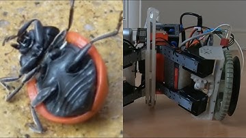 3D printed self-righting mechanism for a robot