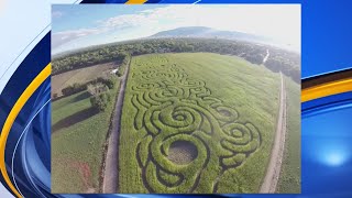 Annual Maize Maze Festival returns for 25th year