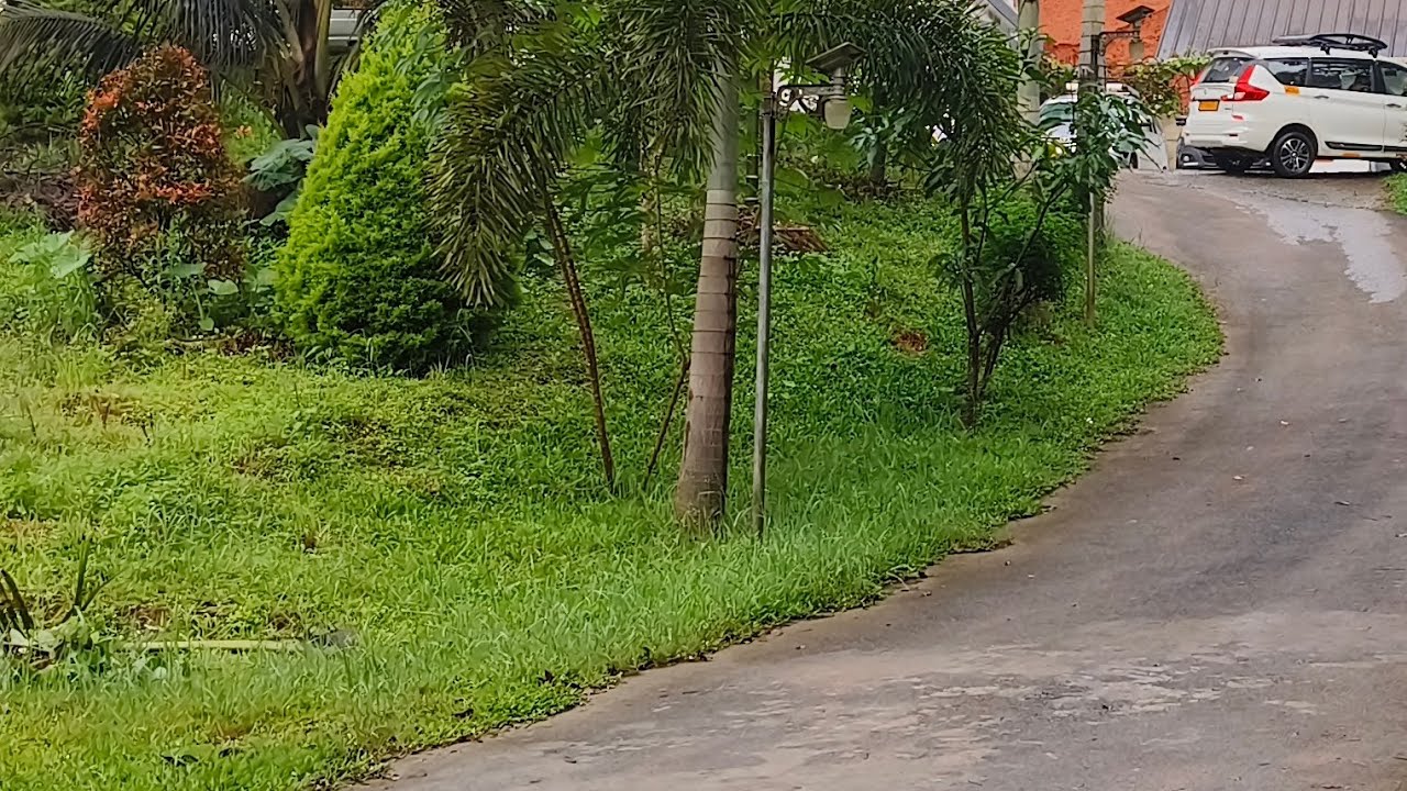 enroute to Thekkaday 