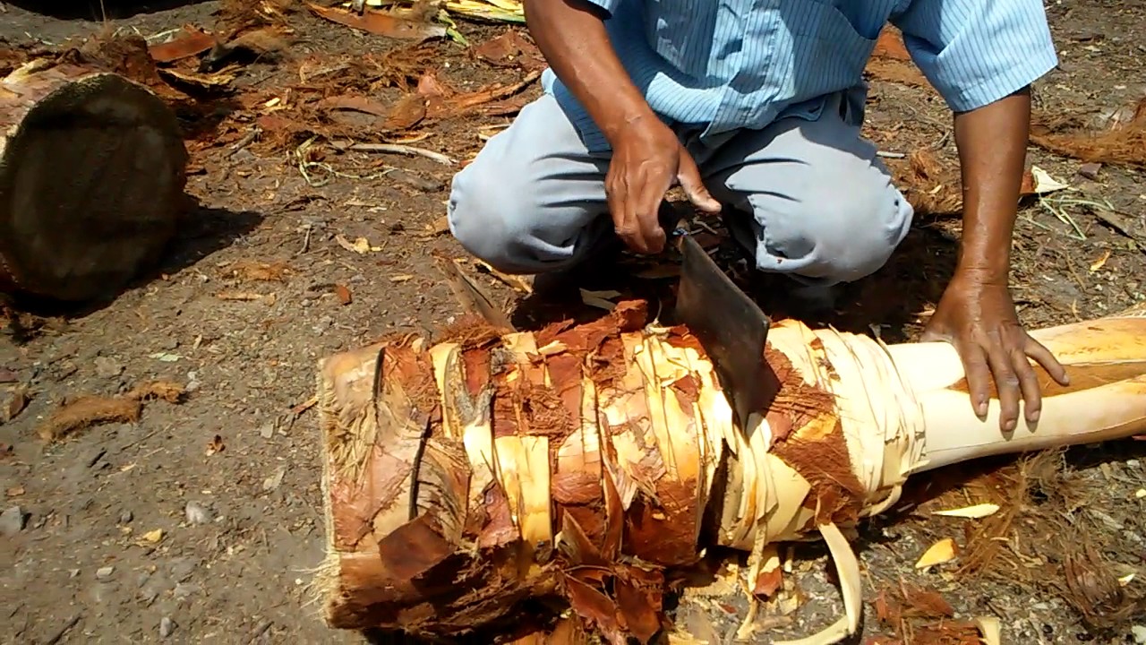 How to Cut Out Heart of Palm - YouTube