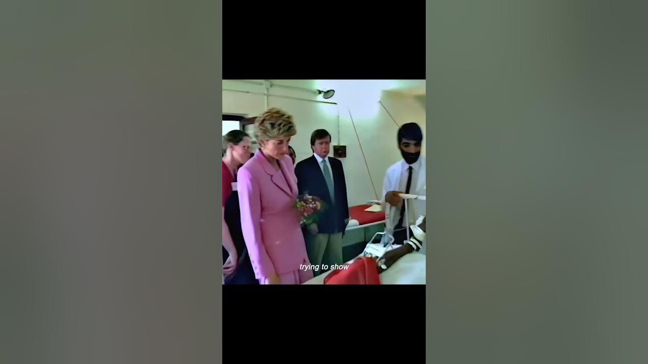 Princess Diana Visit To Asia royal princess christmas fairy queen princess-diana-visit-to-asia-royal-princess-christmas-fairy-queen