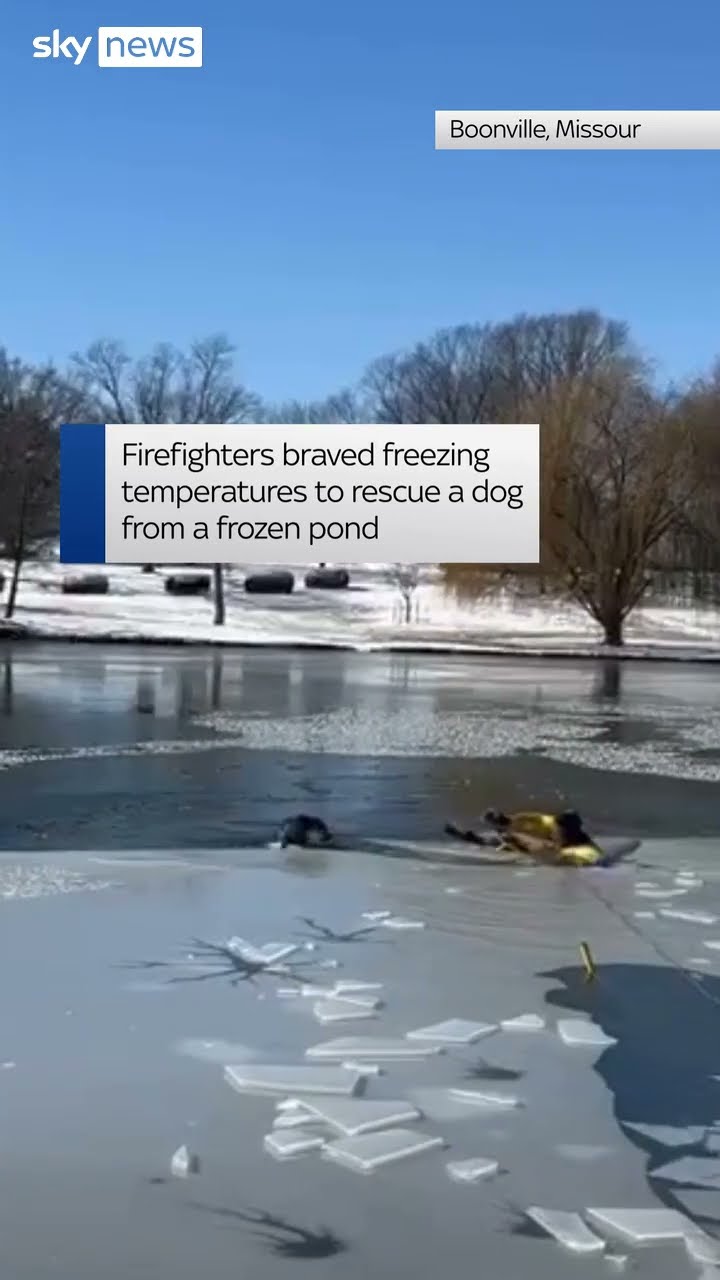 Dog rescued from frozen lake in Missouri
