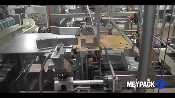 Meypack - Case Packer VP451 with Paddle Chain for Yoghurt Pouches