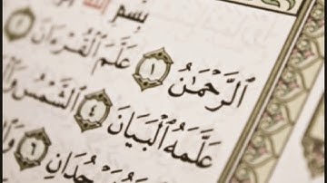سورة الرحمن بصوت القارئ أبو حمزة