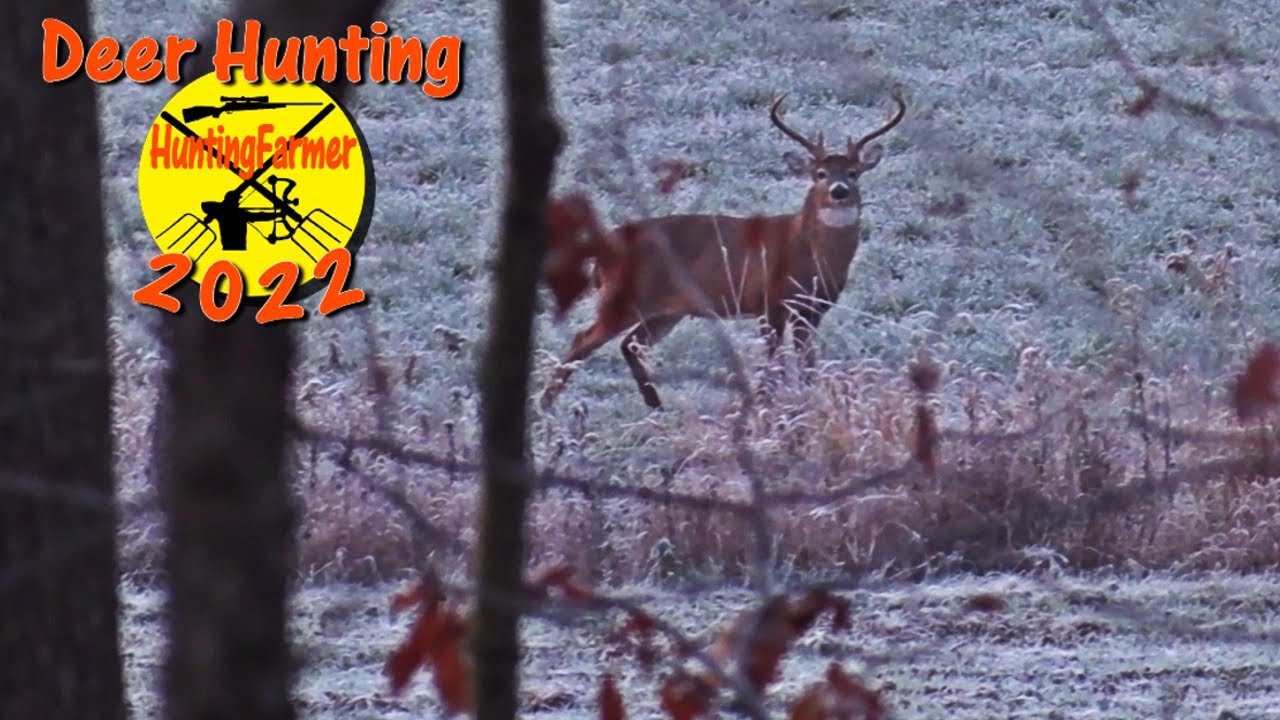 Deer Decoy and a Dirty Sock brings Buck to my Tree Nov Rut PA Archery