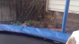 Retarded Singing Puppet 2