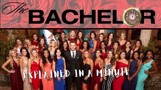 THE BACHELOR Explained in a Minute
