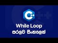 C++ Basics: While Loop