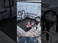 Floating sauna opens in Duluth harbor inside a renovated barge #shorts