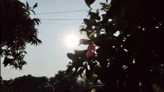 Tuhan 🌼 Bimbo #cover #akustik#lagu #nostalgia  #tembang #kenangan 