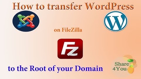How to move migrated WordPress to the root of your domain(3/3)