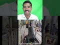 உங்களுக்கு ராஜயோகம் வரப்போகிறது! முருகனின் அருள் 🦚🔱 முருகப் பெருமான் உங்களை கைவிடமாட்டார்! 🔥❤️