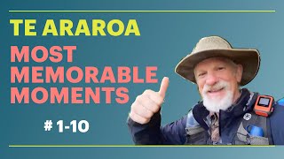 Te Araroa. Most Memorable Moments (#110)