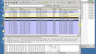 Wireshark-Starting.FLV