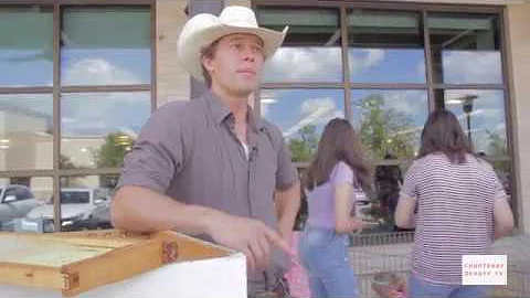 Terrapurezza Regenerative Farming