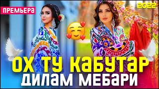 Ох Ту Кабутар 🥰 Дилам Мебари /Бехтарин Суруд/ Kabutar ❤ Хит! 2022