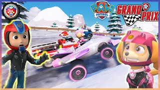 Skye and Rex Kart Adventure 🏁 Paw Patrol Grand Prix Fun screenshot 4