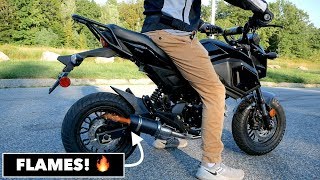 Flame Spitting GROM! // 402 Innovations Carbon Fiber Exhaust