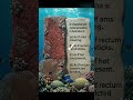 AESCULUS HIPPOCASTANUM MCQ | Materia Medica |