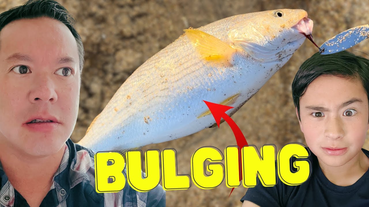 We EAT what's inside this BULGING FISH! IT'S NOT ROE! YouTube