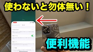 【iPhone12 Pro MAX】使わないと勿体無い？！知っていたけど使ってなかった便利機能