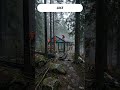 This Forest house in fog will shock you #tinyhouse