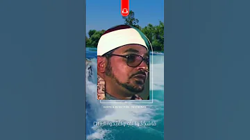 النجم والقمر مقطع الاستثنائية الشيخ الشحات محمد أنور 