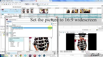 Sony Vegas Effect Tutorial #4 [NewBlueFx]