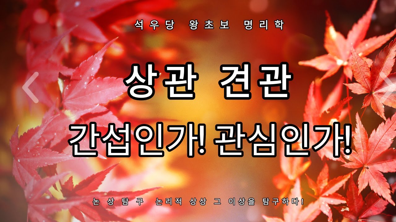 상관견관 간섭인가! 관심인가!(석우당 왕초보 명리학)