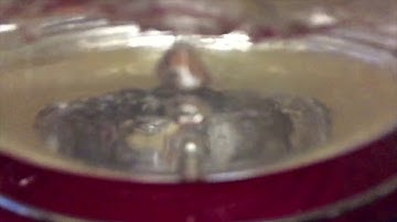 Mysterious Downward Bubbles in Boiling Water