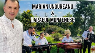 Marian Ungureanu & Taraful muntenesc- Vulture ce zbori înalt ( #LIVE - cover ) 2023