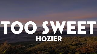 Download Lagu Hozier - Too Sweet (Lyrics) MP3 Download Lagu Hozier - Too Sweet (Lyrics) MP3