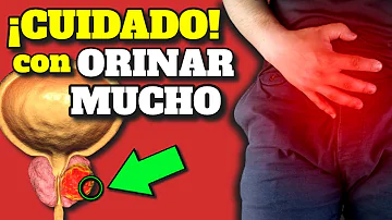 ¿Es normal orinar 20 veces al día?