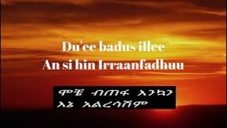 New Ethiopian Music Hachalu Hundessa - OOLMAAN KEE - Lyrics with Amharic Meaning |በአማርኛ ትርጉም