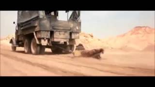 Harrison Ford 1981 - Indiana Jones 1 - Trailer