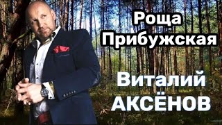 Роща Прибужская - Виталий Аксёнов | Эта песня согреет вам душу!