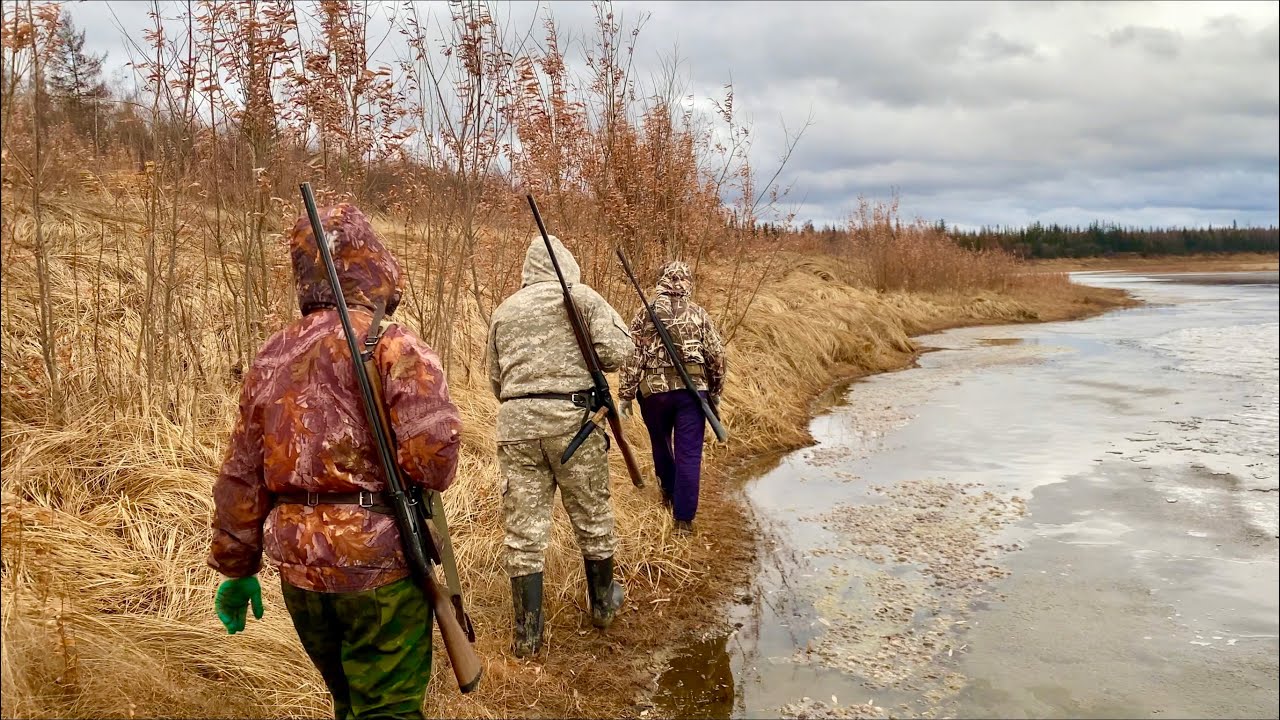 ЗЛОЙ ГОЛОДНЫЙ И С КОГТЯМИ - YouTube