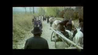 Undeva in est - film romanesc