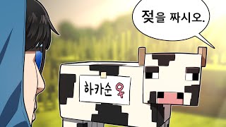 하카순 젖소의 우유을 짜는 하우카우