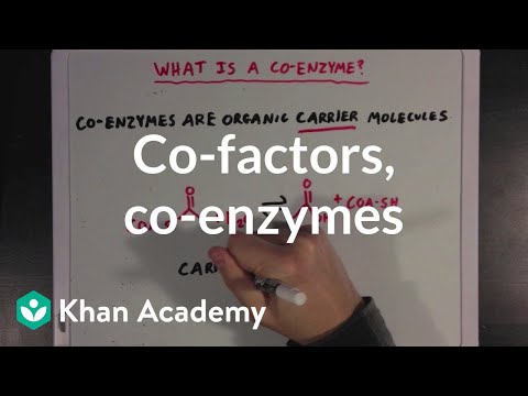 Co-factors, co-enzymes, and vitamins | MCAT | Khan Academy