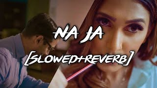 Na Ja (Slowed Reverb) With Lyrics |Pav Dharia| White Hill Music Relaxing Reverbae