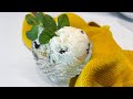 Homemade Mint Chocolate Chip Ice Cream Recipe - Freshest Mint Taste