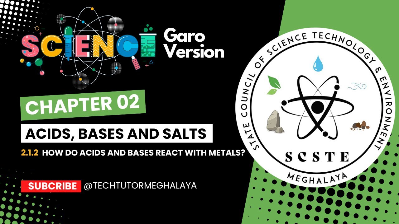 Science 02 chap 2 1 2 how do acids and bases react with metals
