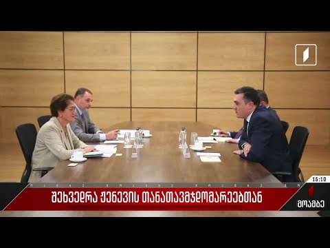 შეხვედრა ჟენევის თანათავმჯდომარეებთან