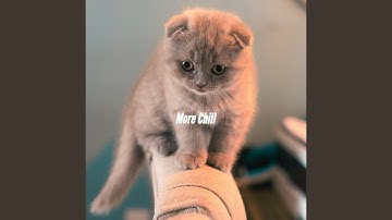 Pulsating Moods for Chilling the Details