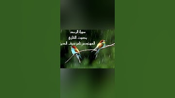 ويسبح الرعد بحمده.تلاوة مؤثرة هادئة من سورة الرعد مع صوت المطر للقارئ المهندس تامر سيف الدين