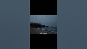 قالَتْ رَبِّ إِنِّي ظَلَمْتُ نَفْسِي وَأَسْلَمْتُ مَع سليمان||تلاوة خاشعة بصوت الشيخ ياسر الدوسري 💗🌿